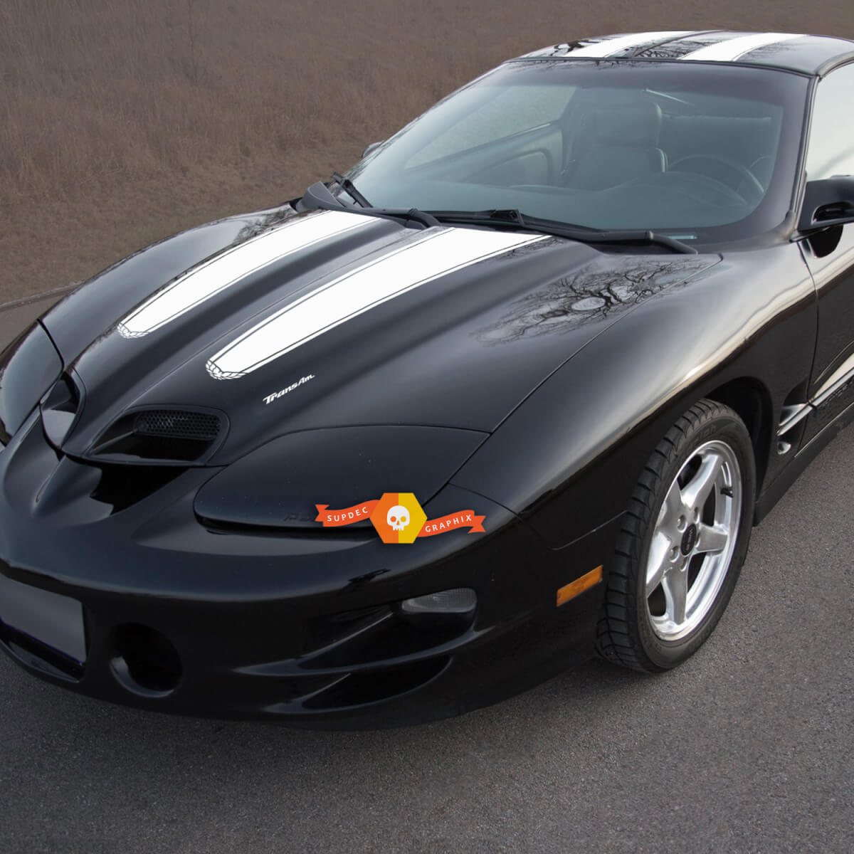 New Firebird Pontiac Stripe Trans Am Hood Roof Tailgate Bird Decal Graphic Pontiac Stickers Decals