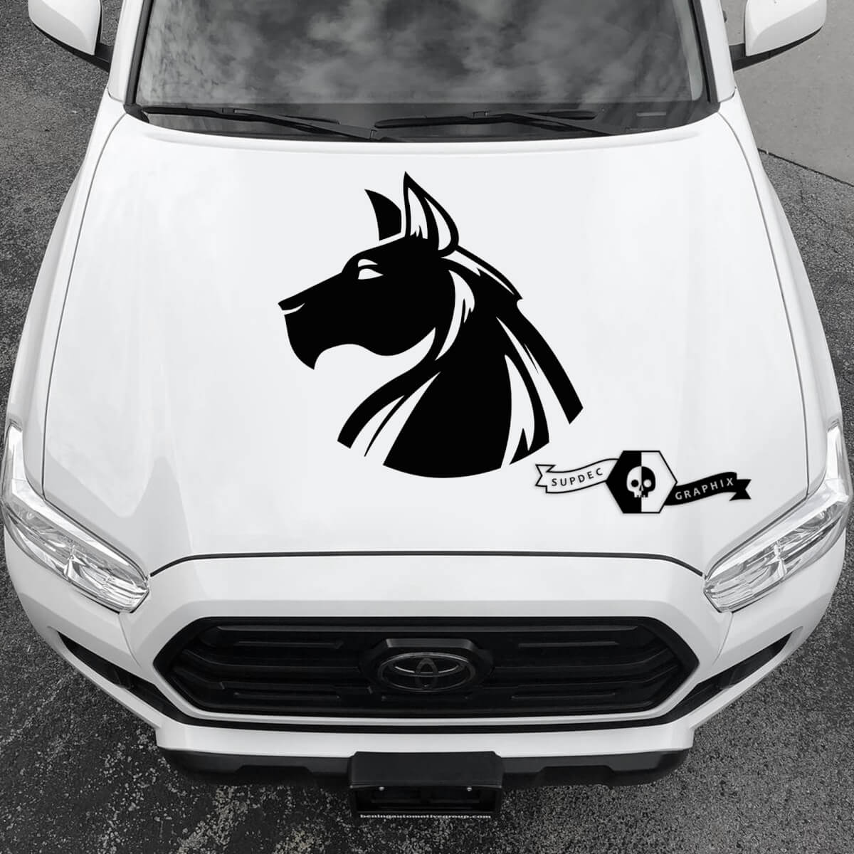 Any Cars Animals Hood 2022+  2023+ New Truck Cars Vinyl Sticker Decal Graphic