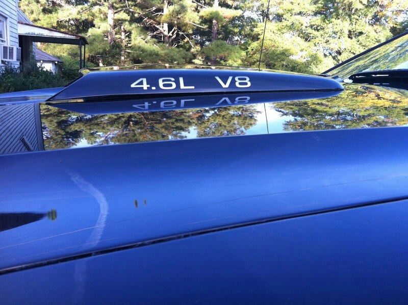 2 sets 4.6L V8 DECALS FORD MUSTANG GT COBRA SVT DECAL Sticker