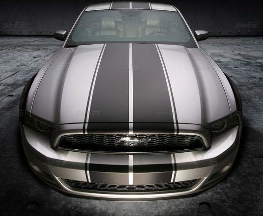 2013 - 2020 Ford Mustang Rally Double Over the Top Racing Stripes Graphics Stickers Decals
