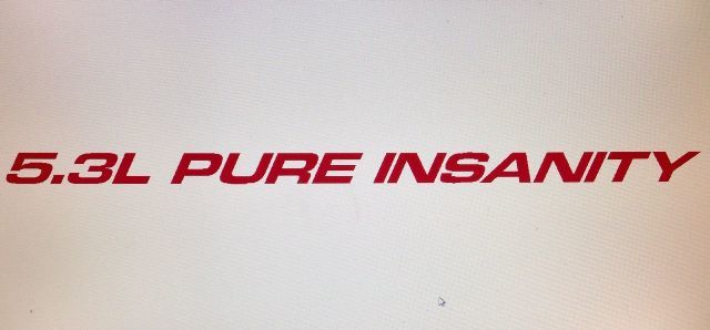 5.3L PURE INSANITY (3) Hood sticker decals For Chevy, GMC Silverado, Sierra
