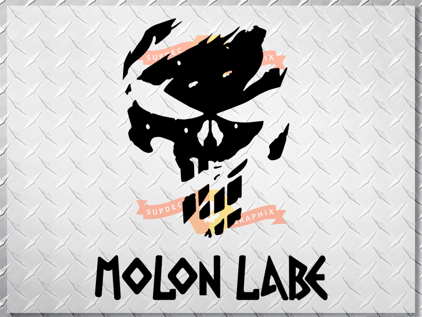 PUNISHER skull MOLON LABE US body side vinyl decal sticker jeep wrangler 1 decal