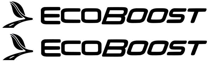 Ford F-150, Fusion, Taurus, Focus, Edge Ecoboost Door Sticker Decals