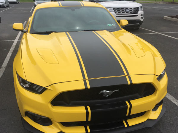 2015 & Up Ford Mustang Super Snake Style Stripe Kits Vinyl Decals Stickers
