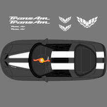 New Firebird Pontiac Stripe Trans Am Hood Roof Tailgate Bird Decal Graphic Pontiac Stickers Decals 2