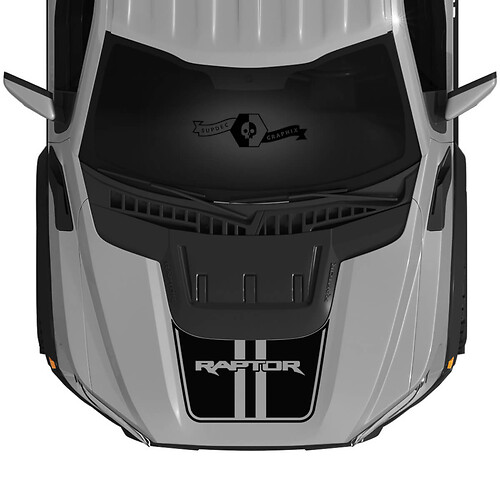 ନୂ Ford Raptor 2023 ସ୍କୁପ ଡବଲ ଷ୍ଟ୍ରିପ୍ F150 SVT ହୁଡ୍ ଭିନିଲ୍ ଡିସାଲ୍ ଗ୍ରାଫିକ୍ସ ଭିନିଲ୍ ସ୍ଟିକର୍ସ କିଟ୍ ଷ୍ଟ୍ରିପ୍ 2022+
