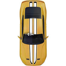 Overall 2 Colors Stripes for Ford Mustang Mach1 Mach 1 GT
 2