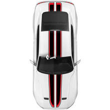 Overall 2 Colors Stripes for Ford Mustang Mach1 Mach 1 GT
 3