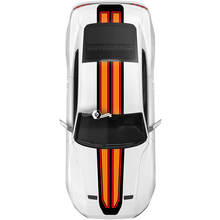 Overall Stripes for Ford Mustang Mach1 Mach 1 Style
 2