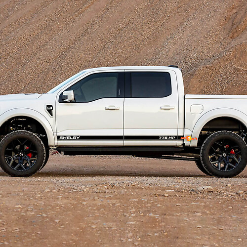 Pair Ford F-150 Raptor SHELBY 775HP ଦ୍ଵାରା Side Doors Lines Graphics Set Logo Stripe Sticker Decal
