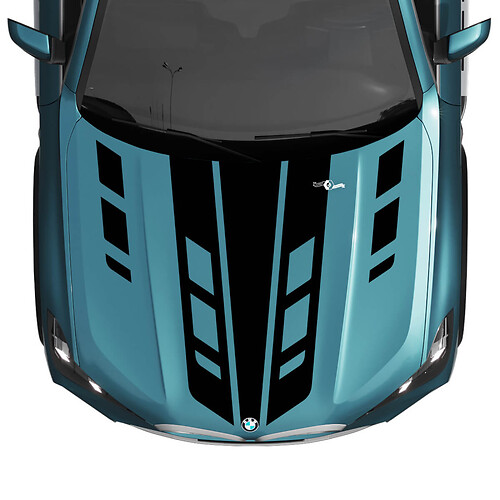 BMW X5 G05 Hood Accent Custom Stripe Decal Stickers 2