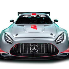 Mercedes Benz AMG GT Edition 55 Kit Décalcomanies Vinyle Autocollants Graphics Capot Latéral Toit Pare-brise
 2