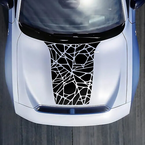 Hood Web Spider Decal Sticker for Dodge Charger Electric