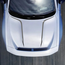 Hood Accent Decal Sticker for Dodge Charger Electric
 2