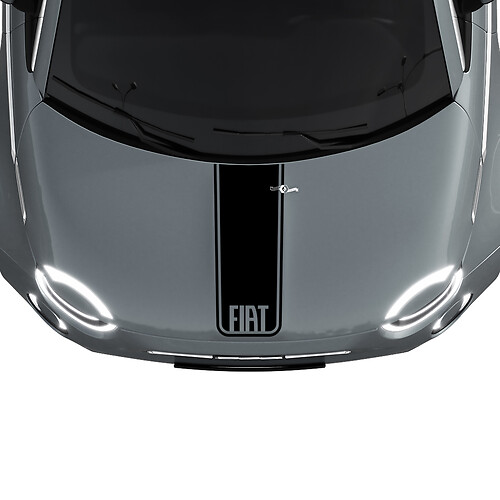 500 Central Hood Stripe Decal Sticker Graphics for Fiat 500