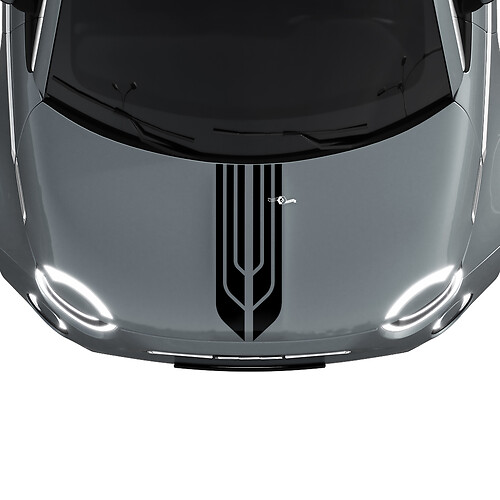 500 Dual Central Hood Stripe Decal Sticker Graphics for Fiat 500