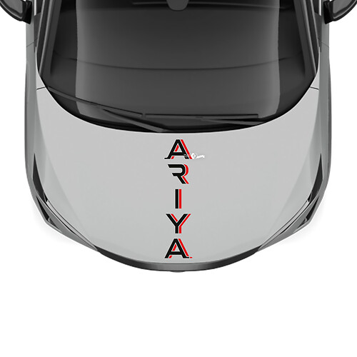 Hood Dual Colors Stripe Racing Graphics Decal for Nissan ARIYA