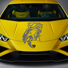 Hood Bull Graphics Racing Vinyl Decal Sticker Graphics for Lamborghini Huracan Evo 2 2