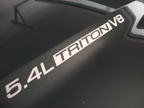 5.4L Triton V8 Ford F150 F250 F350 FX4 Hood Stickers Decals 02 03 04 05 06 07 08 09 2010