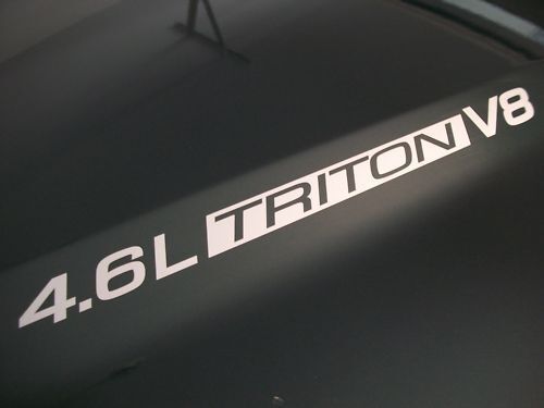 4.6L Triton V8 Ford F150 Hood Stickers Decals FX4 99 00 01 02 03 04 05 06 07 08 09 2010