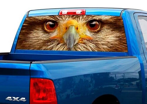 Eagle eyes Rear Window Decal Sticker Pick-up Truck SUV Car
