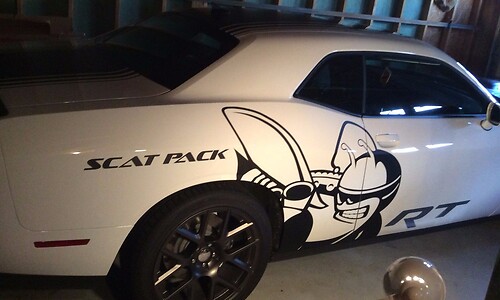 HUGE Sticker Decal Graphic Vinyl CHALLENGER MOPAR SCAT PACK BEE RT LOGO combo HEMI 6.4 L Scatpack