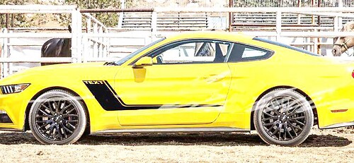 2015 & up Ford Mustang GT Custom Hockey Stripes 2 color  2