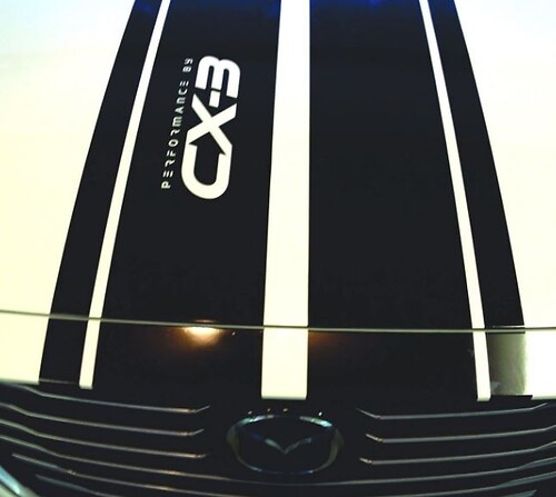 Dual Stripes Fits MAZDA CX-3, Mazda 5, 6, CX5, CX9, RX7, RX8, Miata and more..