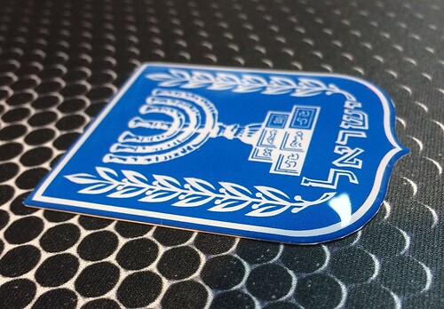 Israel Coat of Arm Flag Shield Proud Domed Decal Emblem Car Sticker 3D 2.5x 2
