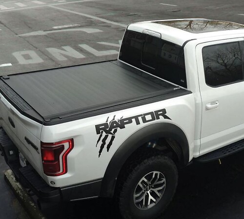 Ford F150 Raptor 2017 logo side bed graphics decal sticker
