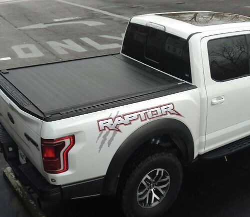 Ford F150 Raptor 2017 logo side bed graphics decal sticker
