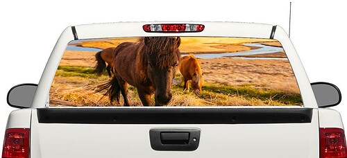 Horses lea nature Rear Window Decal Sticker Pick-up Truck SUV Car 3
