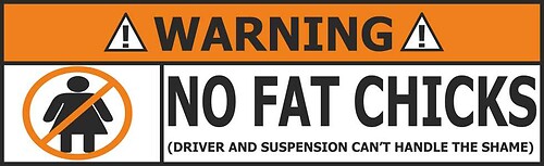No fat chicks WARNING sticker bomb decals art funny shell castrol