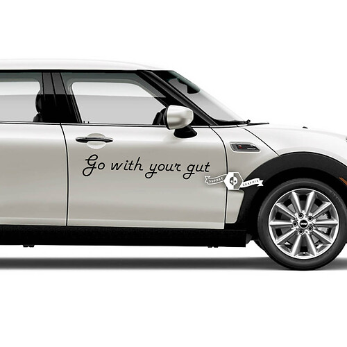 Lettering Decal Sticker Doors Emblem Logo Vinyl For Mini
