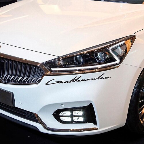 Lettering Decal Sticker Emblem Logo Vinyl For Ford
