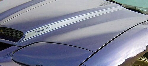 Blackbird hood scoop stripe Stickers Decals graphics fit Pontiac Firebird