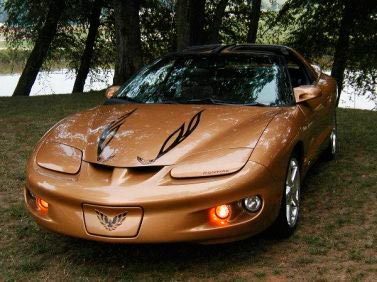 Hood flame Sticker Decal graphic set with bird fits Firebird Trans Am