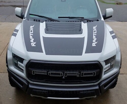 2017 Ford Raptor F-150 Dual Hood Graphic Vinyl Stripe Sticker Decal Predator Svt Rph-003