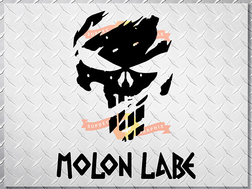 PUNISHER skull MOLON LABE US body side vinyl decal sticker jeep wrangler 1 decal