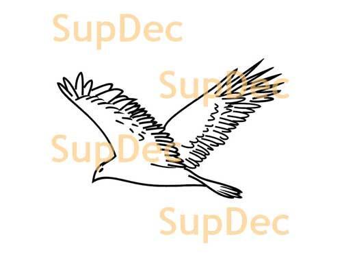 Bird Vinyl Art Wall  Window Bathroom Sticker Decal removable #19