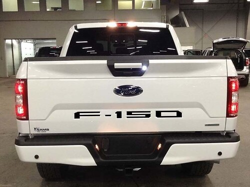 Ford F-150 F150 2018 Tailgate embossed Sticker Decal insert set