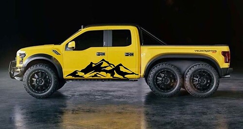 Mounted graphics vinyl Sticker Decal for Ford F-150, F-250, F-350 TRUCKS fx4 RAPTOR 4x4
