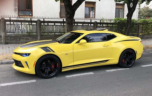 Chevrolet Camaro Racing Rally Kit Streifen Stickers Decals Grafik 2016-2018
