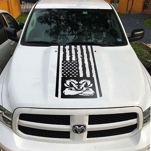 Dodge Hemi Ram Hood  Vinyl Stickers Decals graphics rally stripe
