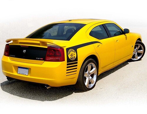 Dodge Charger hockey stick side bars Sticker Decal set pre-cut 2006 2007 2008 2009 2010