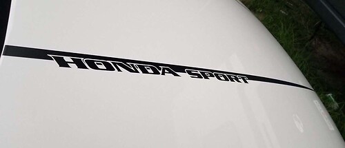 Honda Accord Sport 2018 Hood Stripes Vinyl Decal Car Vehicle Graphics Stickers
