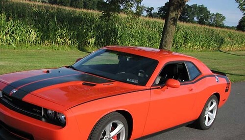Hockey Bodyline Side Stripe Kit Vinyl Decal Sticker for Dodge Challenger