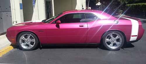 BumbleBee Tail Sticker Decal Kit Vinyl Decal Sticker for Dodge Challenger