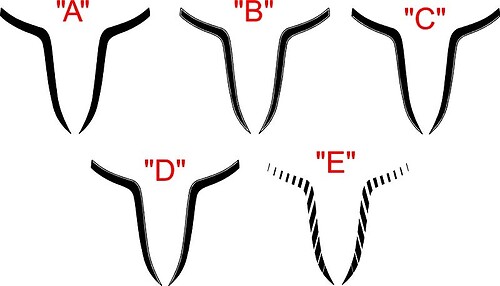 2015 & Up Dodge Challenger SRT / HELLCAT Hood Spear Accent Stripe Kit