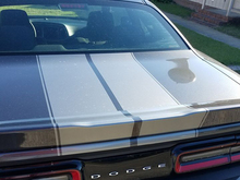 2015 & Up Dodge Challenger 16 piece  392 Style Rally Stripe Sticker Decal Kit
 2